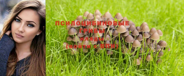 кокаин колумбия Няндома